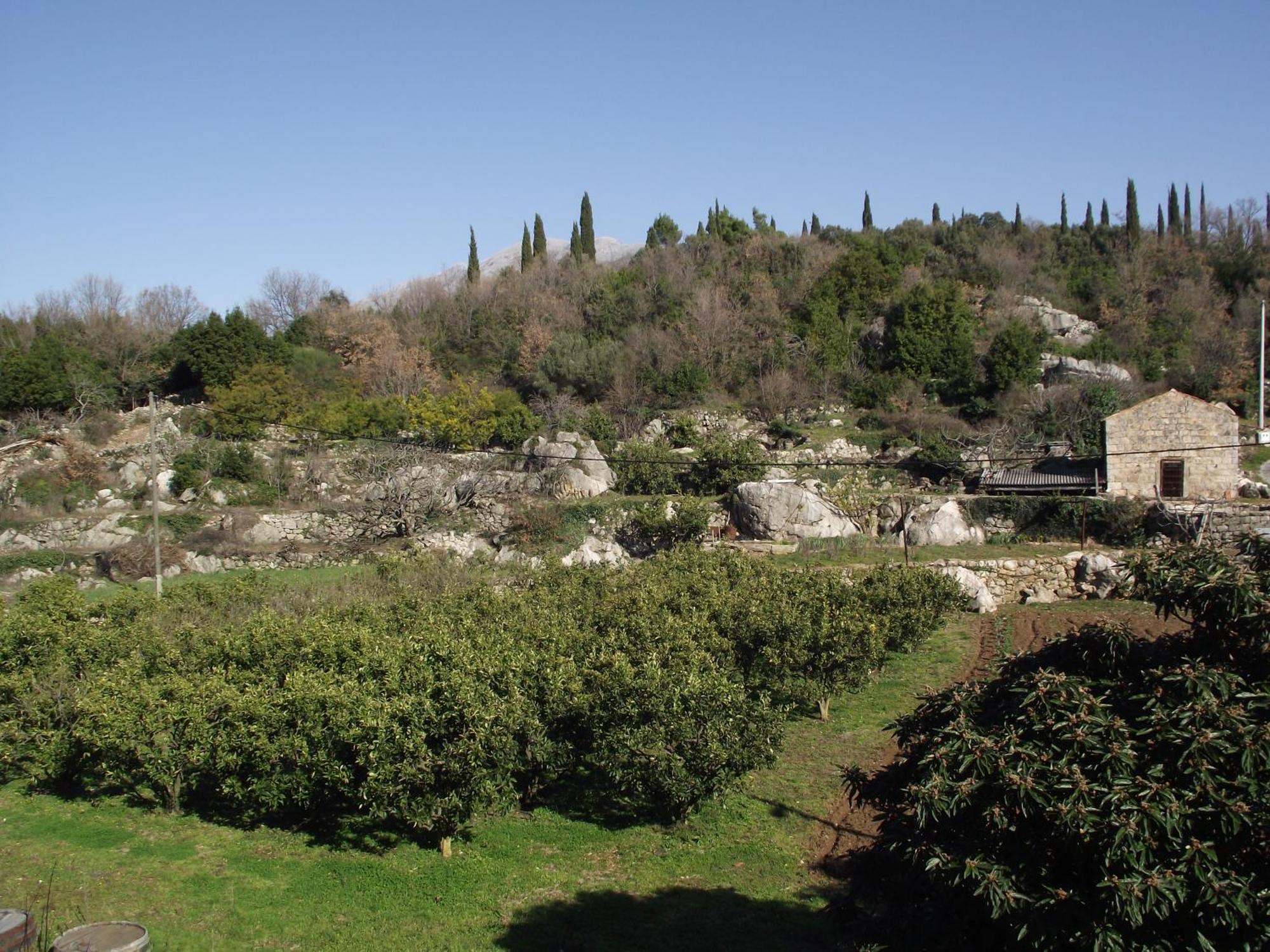 Konavle Apartments Zlatovisce Gruda エクステリア 写真