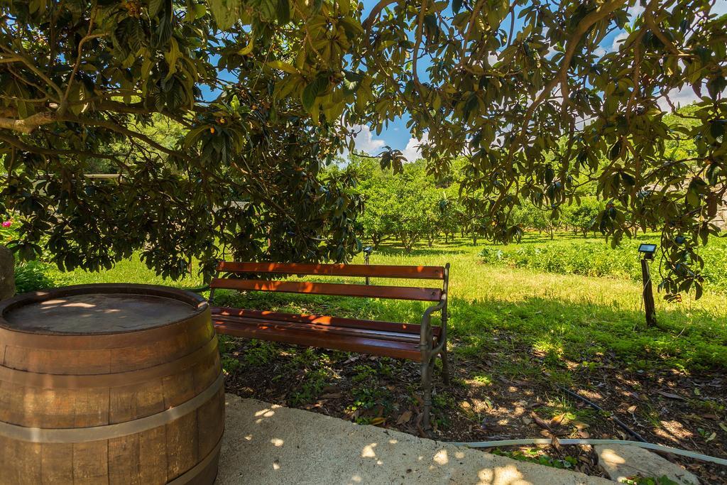 Konavle Apartments Zlatovisce Gruda エクステリア 写真