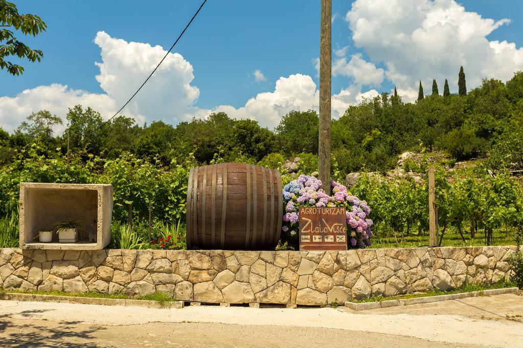 Konavle Apartments Zlatovisce Gruda エクステリア 写真