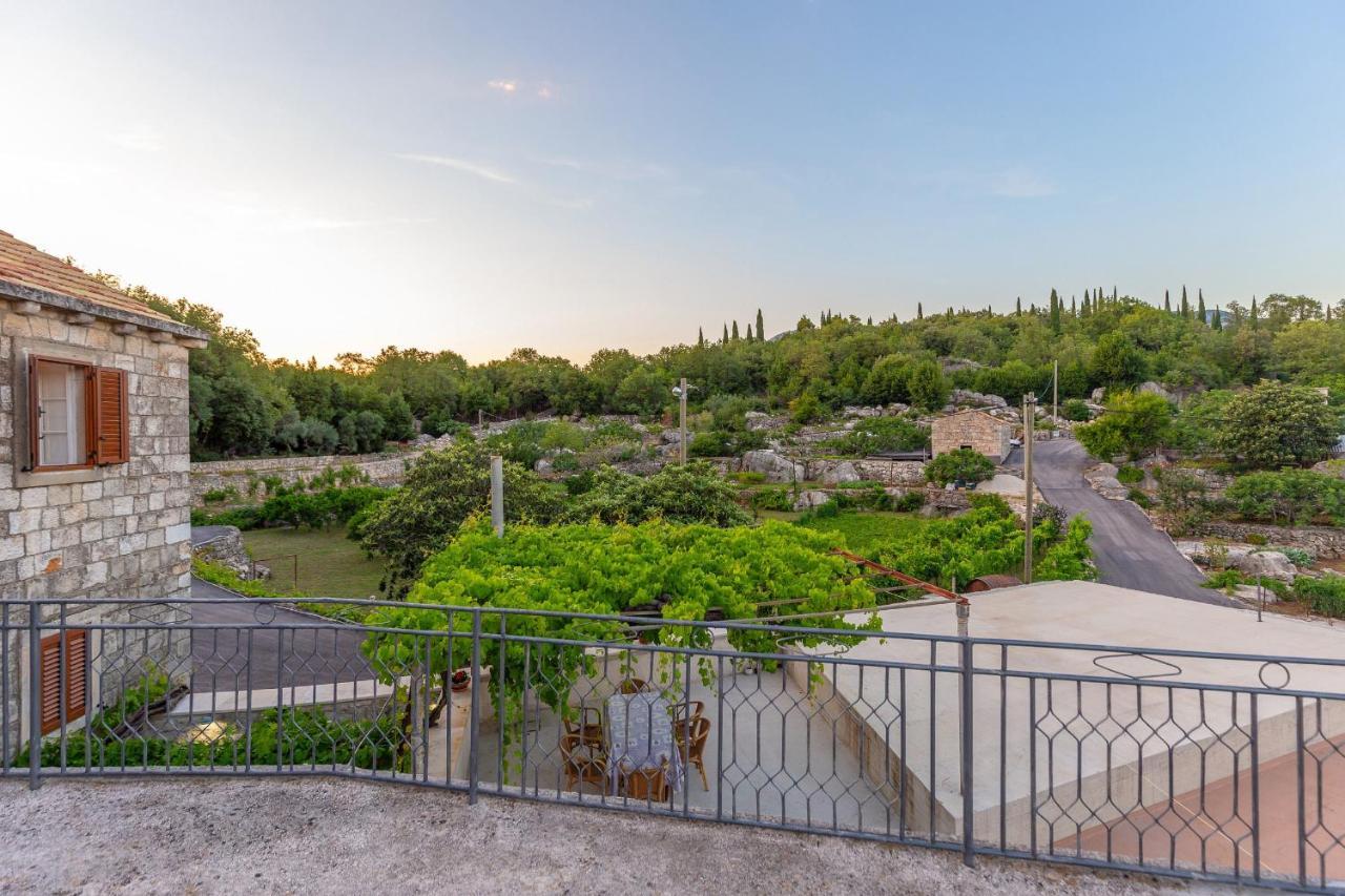 Konavle Apartments Zlatovisce Gruda エクステリア 写真